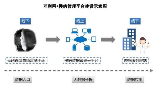 深圳思瀚管理咨询 互联网 慢病管理平台及营销网络建设项目可行性研究报告